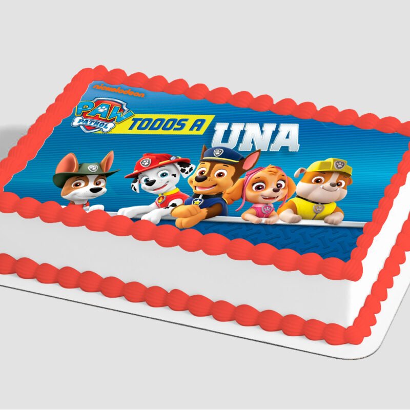PAW Patrol™
